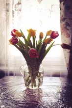 букет праздника / цветы