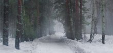 По мартовской дороге вечером / Весь день шел дождик и к вечеру...