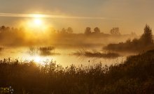 Золотой рассвет / Туман над озером. Литва