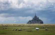 Pastorale / Normandy /France