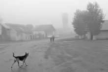 вышел ежик из тумана / единственный за все прошлое лето приличный туман в Червишево