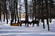 Лошадки / Ярославская область, г. Углич, отель "Волжская ривьера"