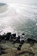..и серое море уходят в немую безбрежность-так в сердце, и радость и горе сливаются в тихую нежность / Тихий океан, Калифорния, пригород Сан-Франциско
