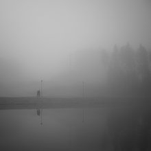 прогулка в тишине / осень туман