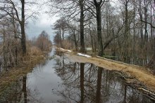 Паводок на Полессье / Затопленная дамба-мост через Стоход