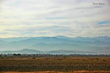 Imeretinski Peizaj / Gruzia