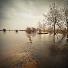 Весенние разливы / Весенние разливы в этом году, скажем, удались:)
Панорама из 12-ти вертикальных кадров:)
Фото сделано в посёлке Речица, Столинского района