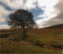 _\|/___ / ...Wicklow mountains...