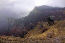 Северный Демерджи / Крым