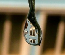simply / На работе поливал перец, ну и заметил каплю... а в ней гор. суд.