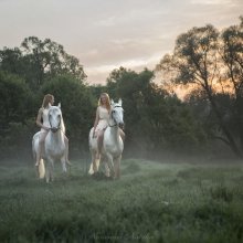 Рассвет / Песни дорог расцветают в душе,
Как васильки расцветают во ржи.
Глянув на мир между конских ушей,
Что ты увидел, мой друг, расскажи!
В стуке копыт занимался рассвет -
В стуке копыт догорает закат.
Тенью скользя по высокой траве,
Гонит на запад их ветер шальной,
Гонит вослед уходящему дню,
И проплывают волна за волной
Сочные травы по брюхо коню.
В скрипе седла начинался январь,
В скрипе седла завершается май.
Кружится в танце, похожем на вальс,
Мир, отчего-то похожий на рай.
Странной монетой наполнен кошель -
Песни дорог да шальная мечта.
Глянув на мир между конских ушей,
Больше не хочешь глядеть просто так.
Дом променяв на лоскут синевы,
Ты не вернёшься к столу и огню.
Всё разнотравье своих кладовых
Степь выстилает под ноги коню...

(Из журнала &quot;Кони Петербурга&quot;)