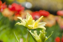 только сегодня / только сегодня