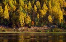 Осень на реке. / Берег,осень.