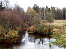 Речка / речка осенью