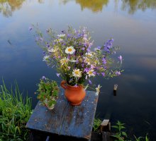 Июльский / Полевые цветы на фоне реки