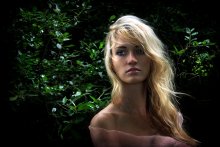 Summer wind...2 / *********************