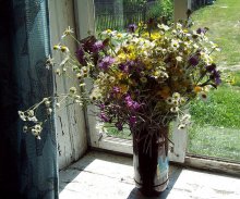 букет / букет полевых цветов на окне