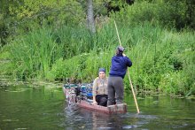 За черникой / Река Стоход, южная притока Припяти.