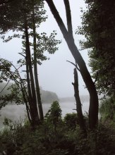 Замерло время / Надолго останется в памяти это утро на Мухавце, жареные сосиски, рыбалка, и атмосфера рассвета сохранившаяся вплоть до 10 утра, благодаря нависшему над рекой туману и отсутствию ветра.