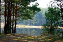 &nbsp; / Фрагмент озера возле деревни Полоневичи Минской области.