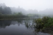 Туман на реке Черёхе / август 2013