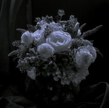 В расцвете. / букет