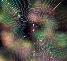 Осенний диск / ***