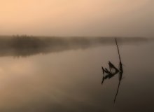 Отражение утра / Утро. Река Свислочь. Беларусь