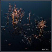  / Речка Веснена