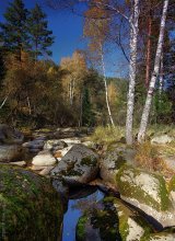 Река Белокуриха / Последние краски осени.