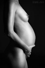 Фотосессия беременных / фотосессия беременных беременность www annazhuk
