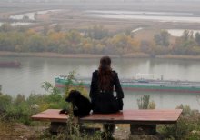 Осень и собака. / Каждый поймёт, как поймёт.