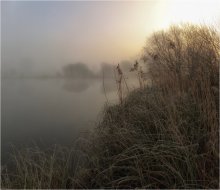 ...тумАнно-морОзная... / ***