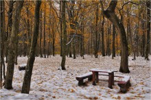 Преждевременная встреча / В разгар листопада выпал снег...