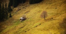  / Карпаты