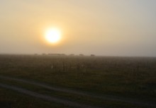 Утром ранним / туман, луг