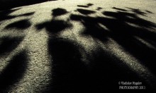 МАМА С ДОЧКОЙ В МИРЕ ТЕНЕЙ / сентябрь 2011 года, причудливая игра света и тени от листвы дерева и светящего фонаря... В этой игре теней  Я увидел женщину с ребенком ( у ребенка шарики в руках)... А ЧТО ВИДИТЕ ВЫ? Снято на мыльницу Canon Powershot sx 210 is