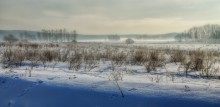 Зайцы в дымке / Белорусская природа