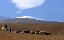 Пастухи / и облако