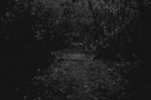 Сумерки. / Начинает смеркаться.