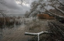 Серый денёк... / оз. Нарочь 27.11.13