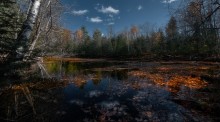 Transparent Autumn (Moriss Isl) / Transparent Autumn (Moriss Isl)