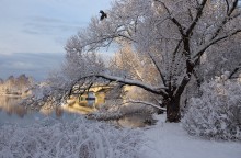 Первый снег / Латвия