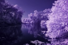 другой мир / инфракрасное фото