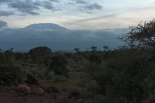 Килиманджаро на закате / Национальный парк Амбосели