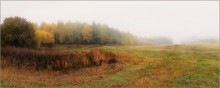 Панорама осени / Белорусская природа
