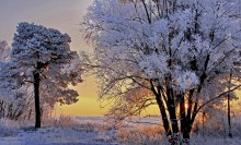 &nbsp; / Зимний расссвет