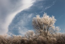 В небесных объятиях. / Когда солнце, мороз и иней.