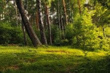  / Природа Беларуси