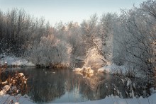 В зимней сказке / ***